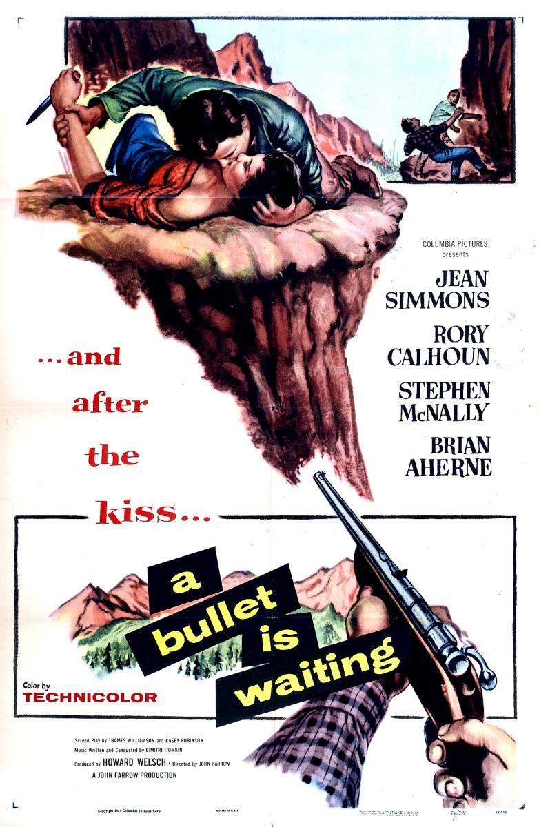 A_Bullet_Is_Waiting-145465177-large.jpg