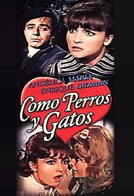 Como Perros Y Gatos 1969 FilmAffinity