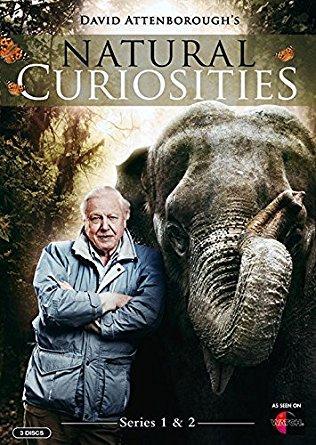 Image Gallery For David Attenborough S Natural Curiosities Tv Series