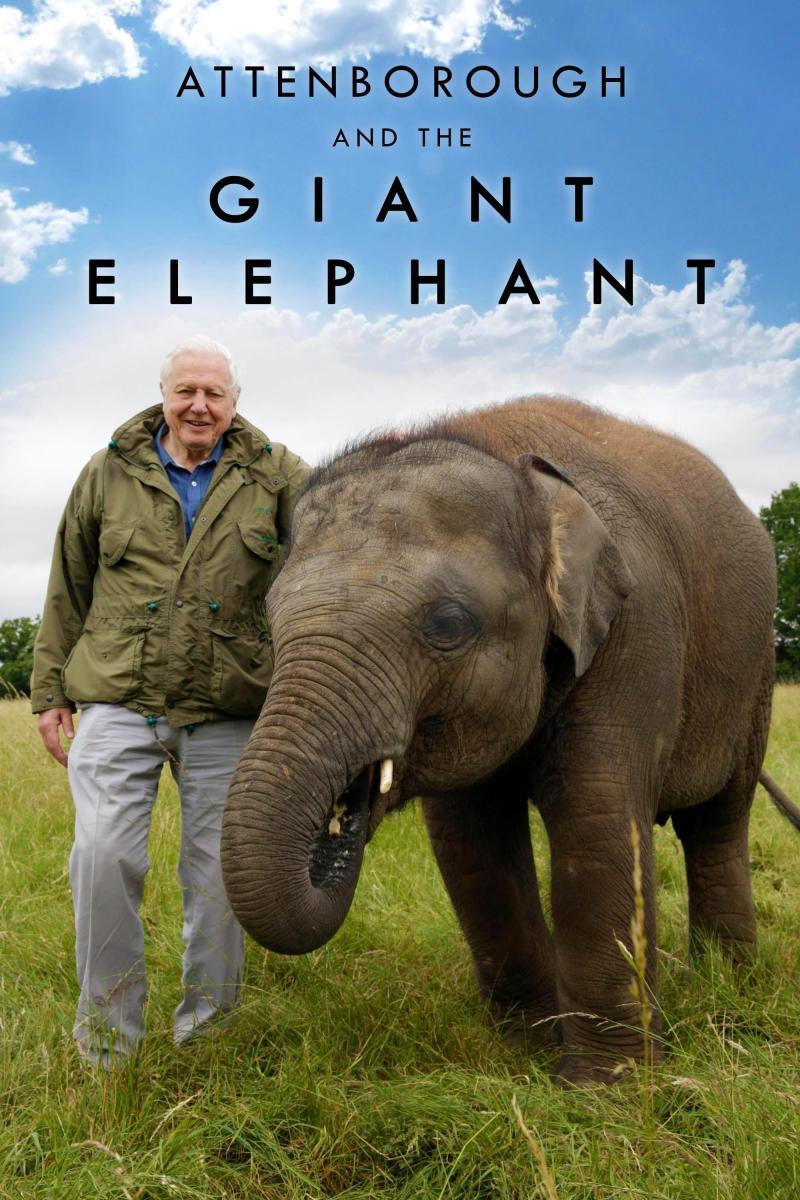 Sección visual de David Attenborough y el elefante gigante TV