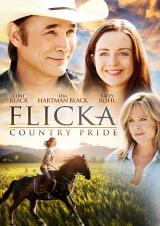 Flicka 3 (2012) DVDRip Flicka 3 (2012) DVDRip
