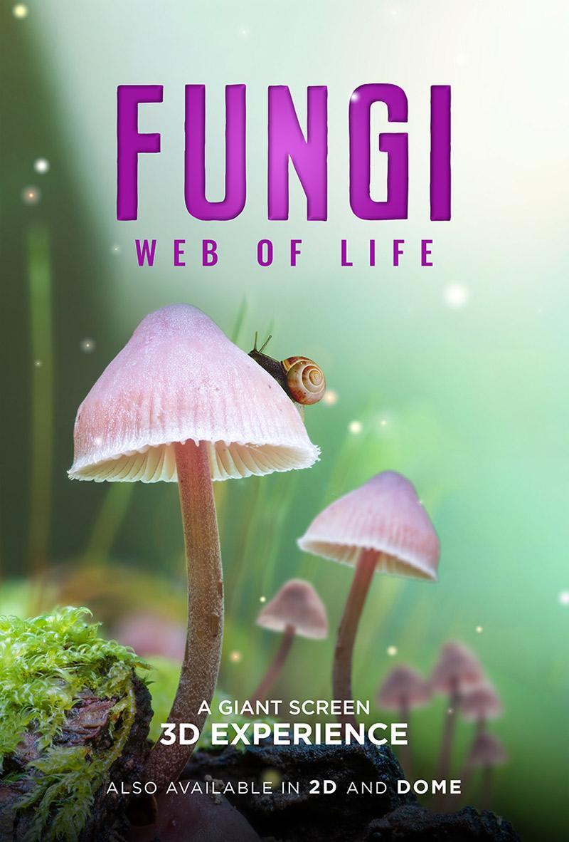 Fungi Web Of Life 2023 FilmAffinity