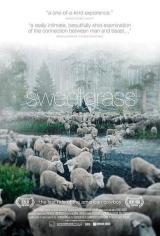 Hierba de b�falo (Sweetgrass)