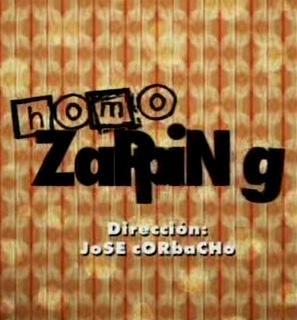 Homo Zapping movie
