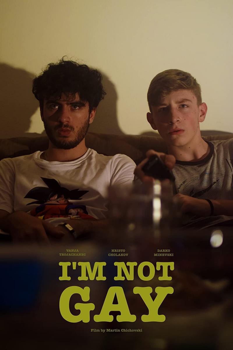 Sección visual de I m Not Gay C FilmAffinity