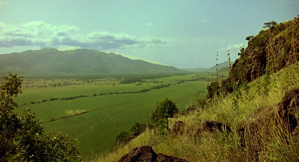 Out of Africa - Stills