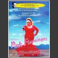 Pink Flamingos - Posters