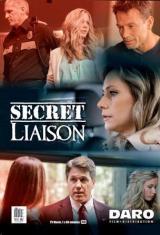 Relación secreta (2013) DVDRip Relación secreta (2013) DVDRip