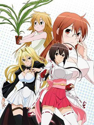 anime anime