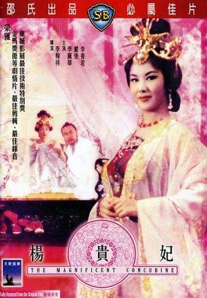 The Magnificent Concubine movie
