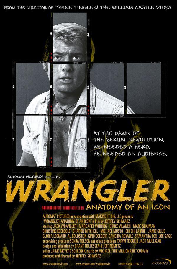 Sección visual de Wrangler Anatomía de un icono FilmAffinity