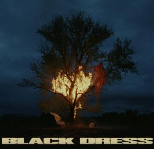 070 Shake: Black Dress (Vídeo musical)