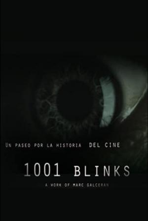 1001 Blinks 