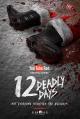 12 Deadly Days (TV Series)