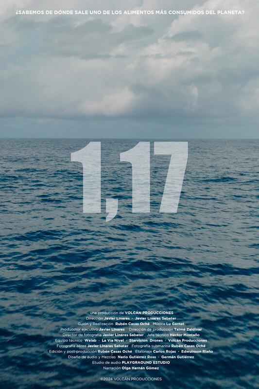 1,17 