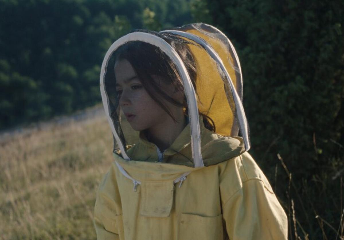 Image Gallery For 20 000 Species Of Bees FilmAffinity