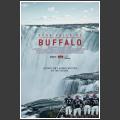 Four Falls of Buffalo