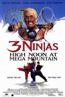 3 ninjas en el parque de atracciones (Tres pequeños ninjas 4)  - Poster / Imagen Principal