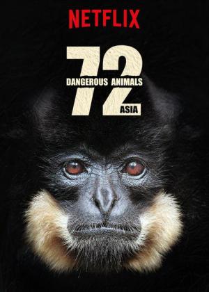 72 Animales peligrosos: Asia (Serie de TV)