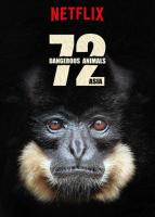 72 Animales peligrosos: Asia (Serie de TV) - Poster / Imagen Principal