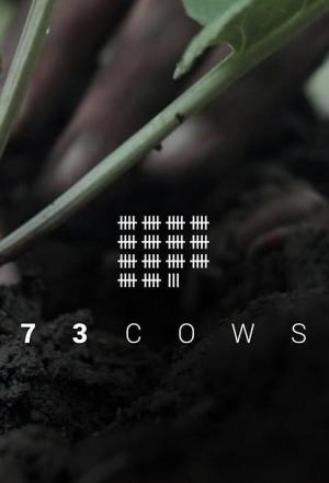 73 Cows (S)