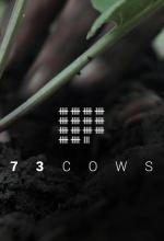 73 Cows (C)