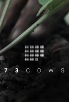 73 Cows (C) - Poster / Imagen Principal