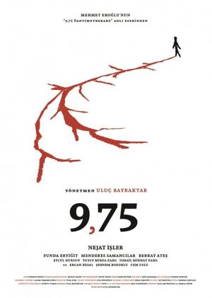 9,75 Santimetrekare 