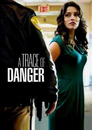 A Trace Of Danger Tv 2010 Filmaffinity