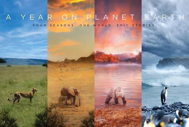 Image gallery for A Year on Planet Earth (TV Miniseries) - FilmAffinity