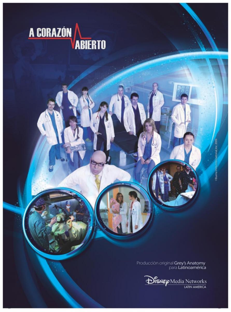 A corazón abierto (TV Series) (2010) - Filmaffinity
