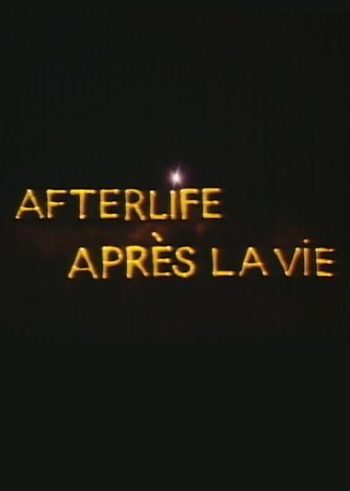 Afterlife, um verdadeiro espetáculo audiovisual totalmente