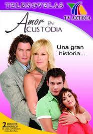 Amor En Custodia Tv Series 2005 Filmaffinity