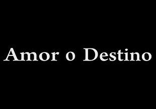 Image gallery for Amor o destino - FilmAffinity