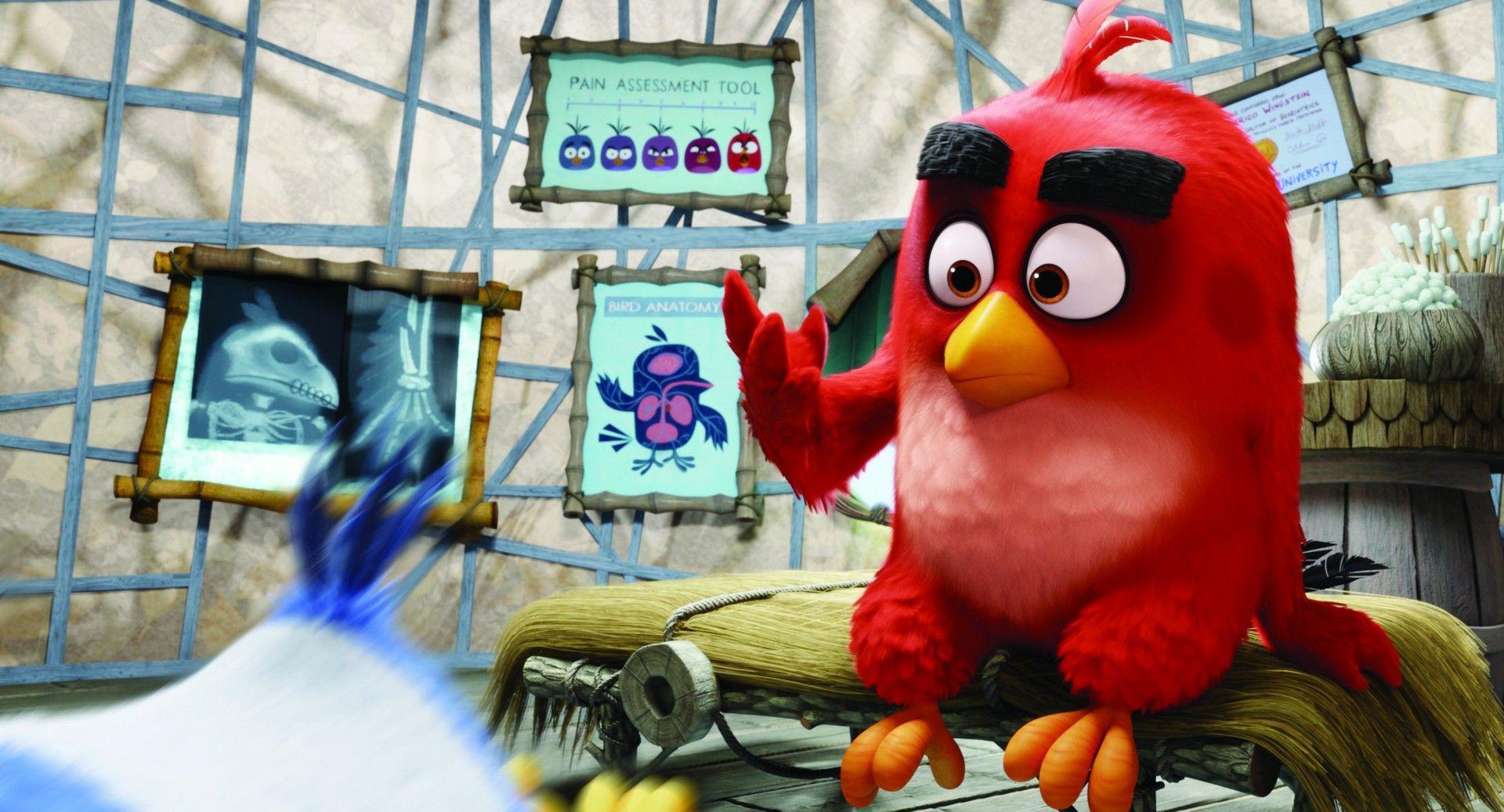 Secci N Visual De Angry Birds La Pel Cula Filmaffinity