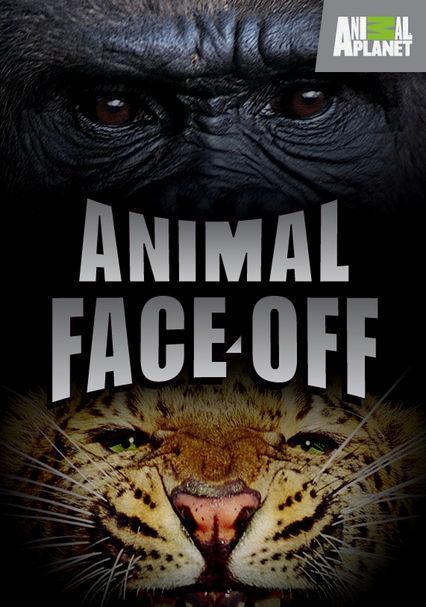 Animal Face Off (TV Series) (2004) - Filmaffinity