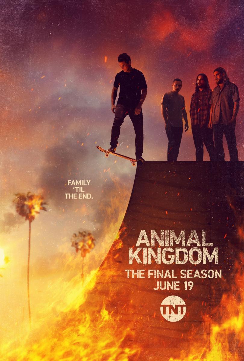 Animal Kingdom (2016) - Filmaffinity