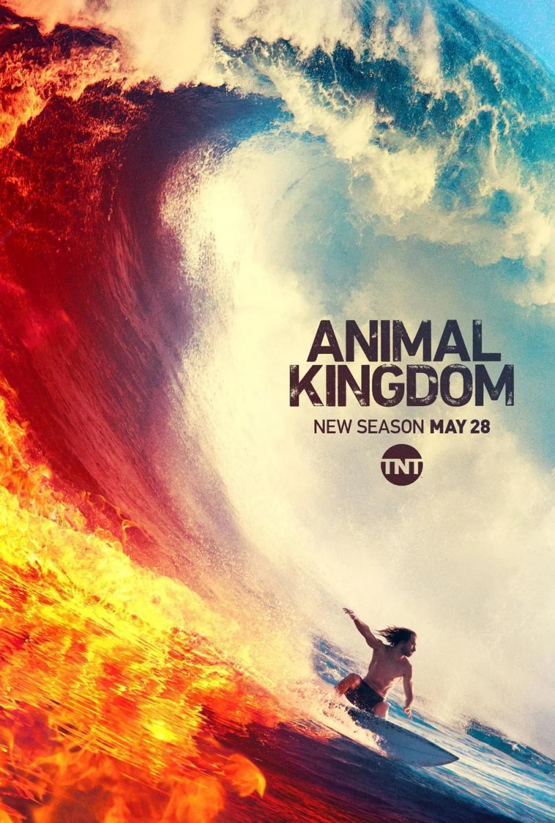 Animal Kingdom (2016) - Filmaffinity