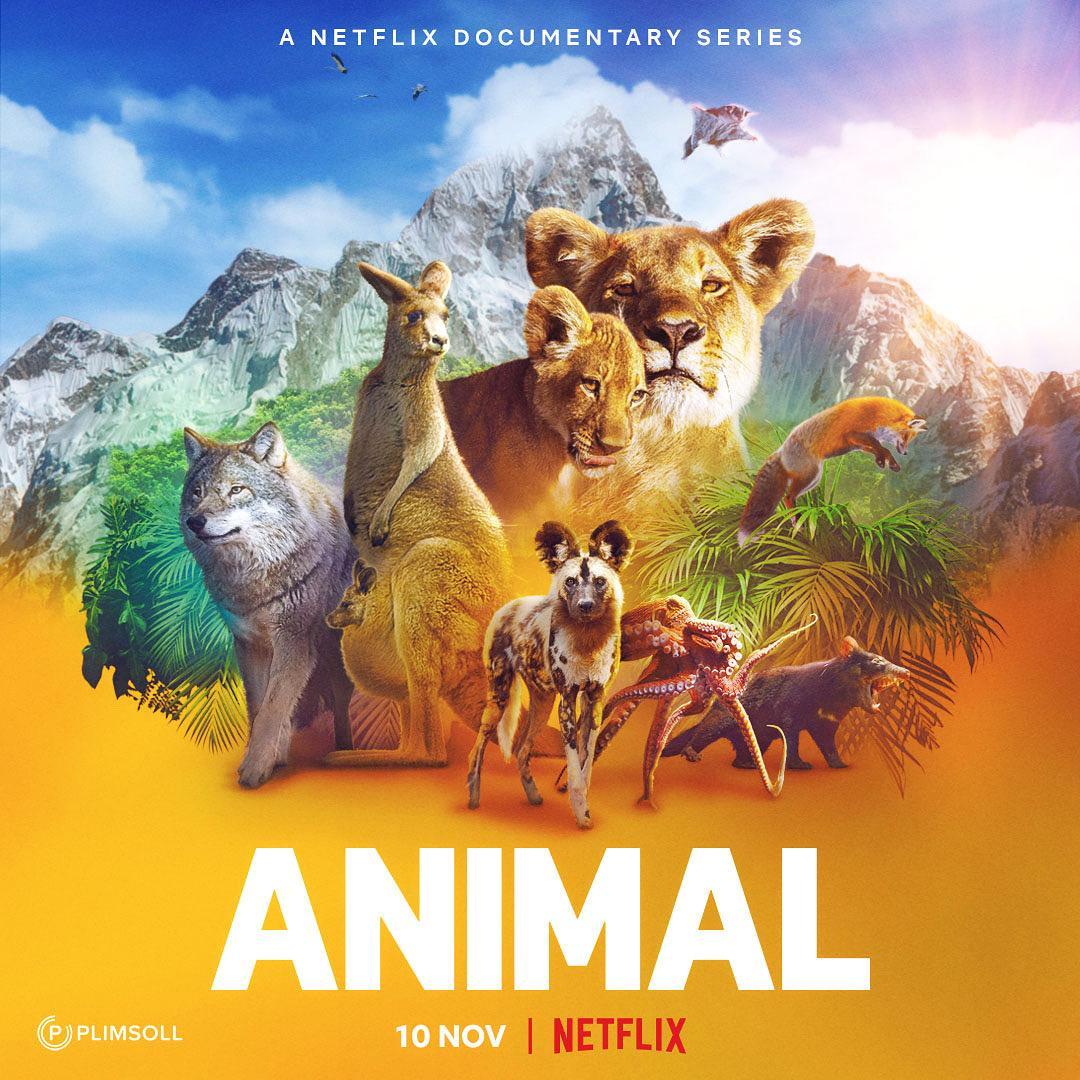 Animal (Serie de TV) (2021) - Filmaffinity