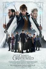 Críticas de Animales fantásticos: Los crímenes de Grindelwald (2018) -  Filmaffinity