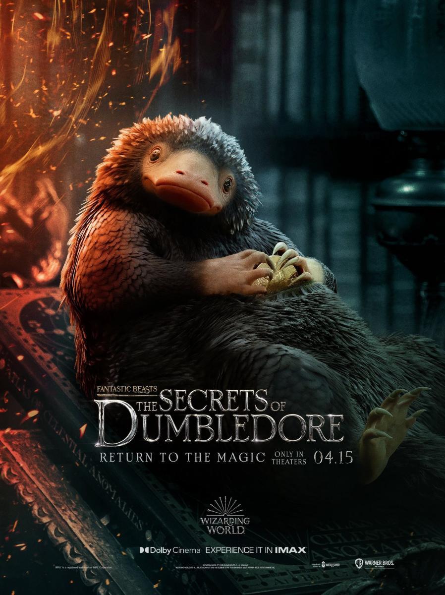 Email veinte alto Animales fantásticos: Los secretos de Dumbledore (2022) - Filmaffinity