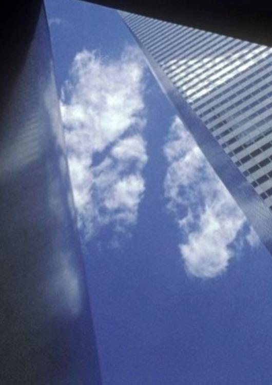 Image gallery for Arbor Vitae FilmAffinity