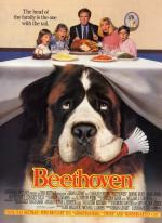Beethoven, uno más de la familia 