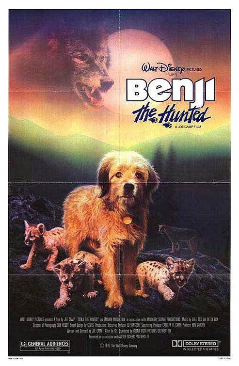 benji 1981