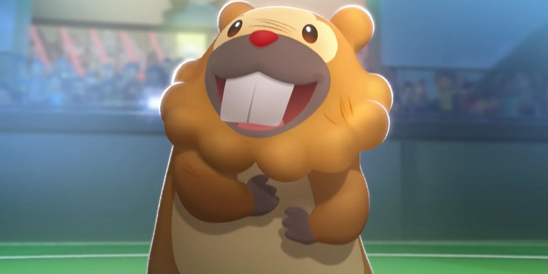 8 Pictures of bidoof ideas  pokemon cute pokemon pikachu