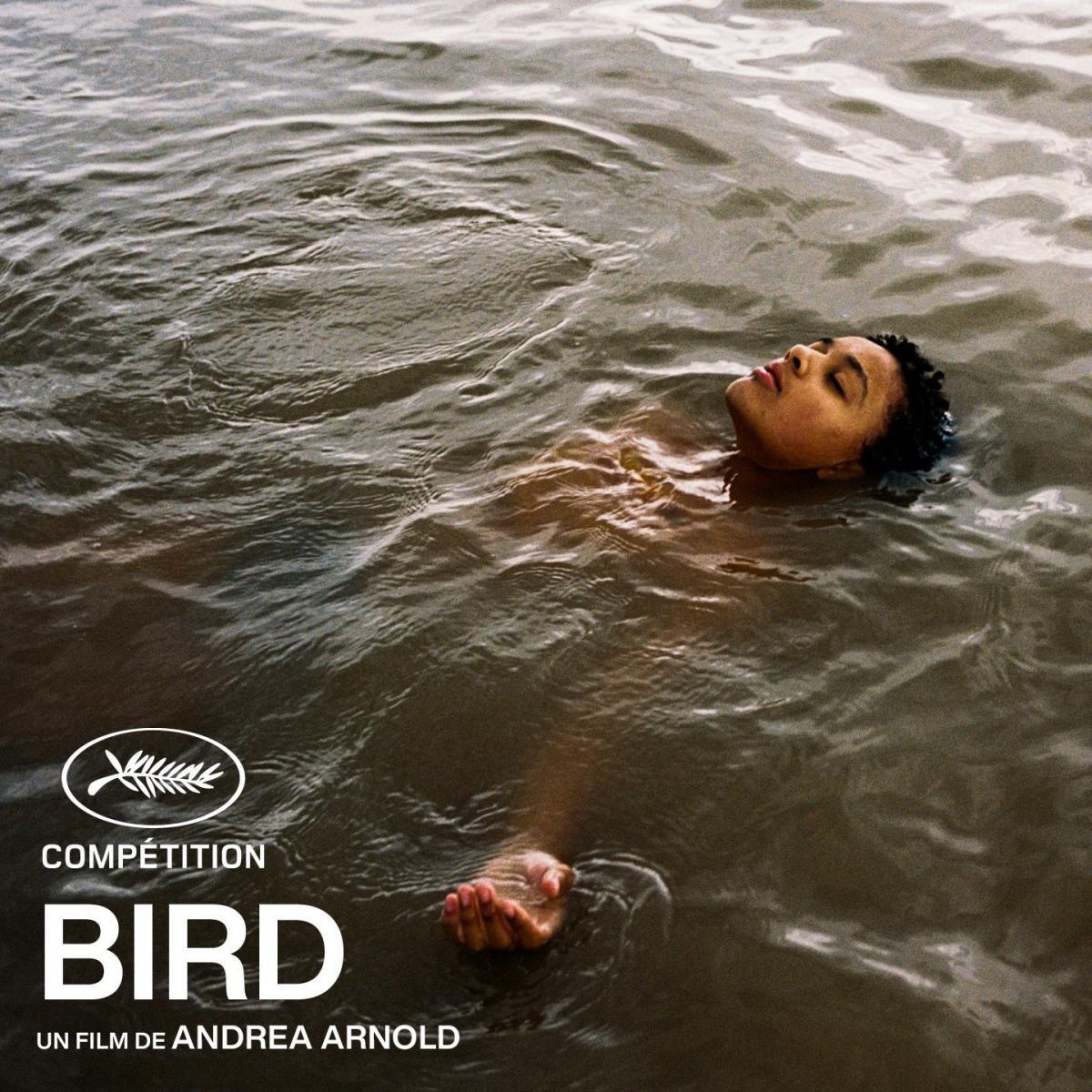 Bird (2024) - Filmaffinity