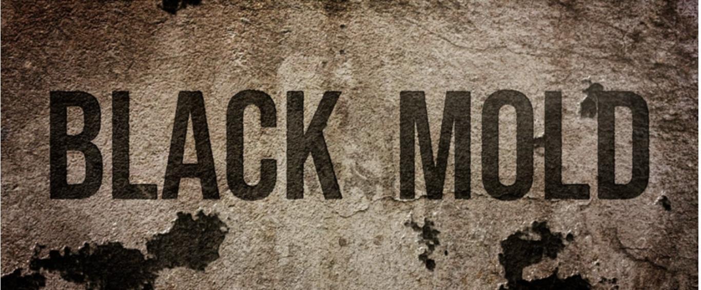 Image gallery for Black Mold FilmAffinity