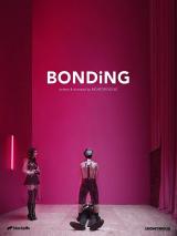 Bonding Serie Bonding Serie