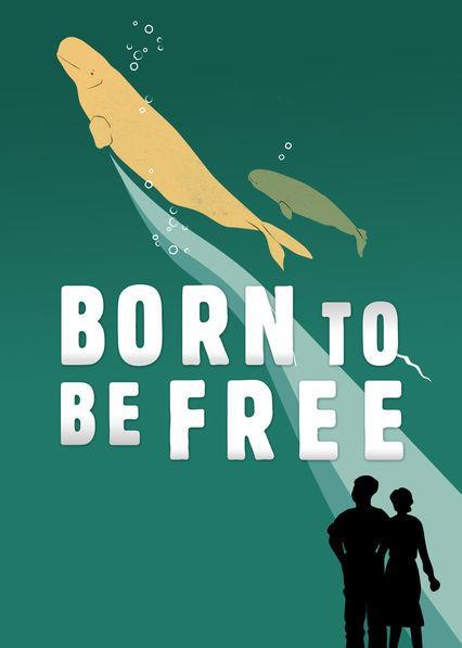 Born To Be Free 16 Filmaffinity