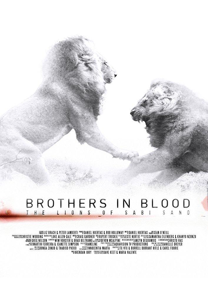 Brothers in Blood: The Lions of Sabi Sand (2015) - Filmaffinity